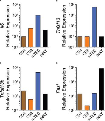 Thymus antibody-secreting cells: once forgotten but not lost